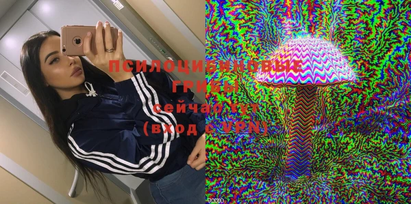 Альфа ПВП Алзамай