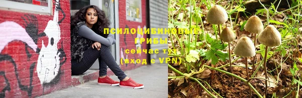 ECSTASY Алексин